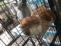 -臻鲜燕海鲜融合餐厅(金陵style店)