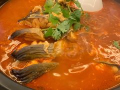 酸汤乌江鱼-贵州大厦贵州厅(樱花园西街店)
