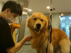 -PETKIT小佩宠物(古北店)