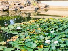 -北京工商大学(良乡校区)