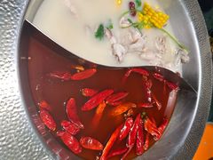 -麻田会 ·鲜活现烹·牛蛙火锅(珠江新城维家思广场店)