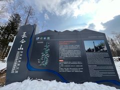 -峡谷浮石林景区