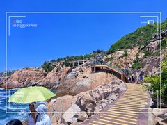 -广东惠东海龟国家级自然保护区