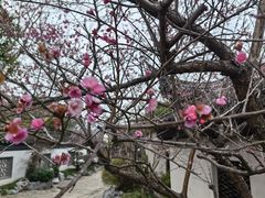 -巡塘古镇