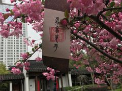 -江宁织造博物馆