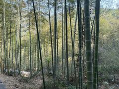 -山沟沟景区