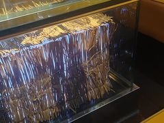 -V-SHOW主题KTV(新城店)