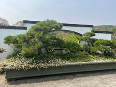 -杭州植物园