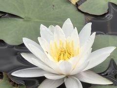 -江苏三台山国家森林公园