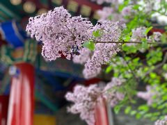 -西安市广仁寺