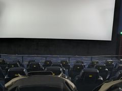 -AMG海上明珠影城(上海环球港RealDCinema店)