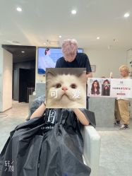 -禾里設計