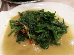 腐乳帝王苗-蟹皇海鲜餐厅