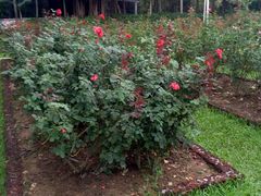 -人民公园(罗湖区)