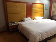 -圣爵菲斯大酒店(长沙世界之窗店)