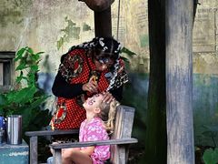-奥兰多迪士尼动物王国乐园