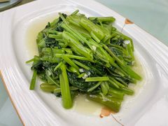 -丁老爷子苏香圆