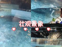 -萌宠奇缘(荣鼎店)