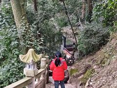 -凤栖山