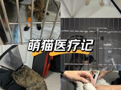 -御宝贝24h宠物医院·转诊中心·CT核磁血透中心(厦门总院)