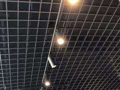 -金掌勺东北菜(格兰晴天店)