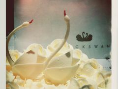 -BLACKSWAN黑天鹅(环球店)