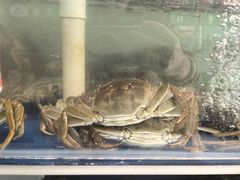 -阳澄湖大闸蟹·琼灵阁牌品牌连锁(吴中总店)