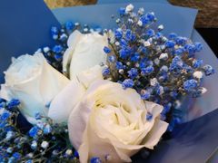 -循礼门鲜花花市(武汉循礼门店)