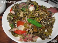 -白家寨子·山野白族菜(古城总店)