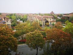 -上海崇明金茂凯悦酒店