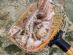 -岛中岛·海鲜大排档·万宁老字号(东澳店)