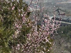 -北京凤凰岭