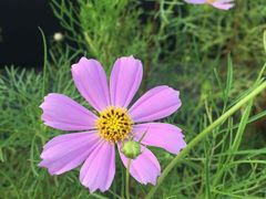 -瓦库茶馆17号(海汇港店)