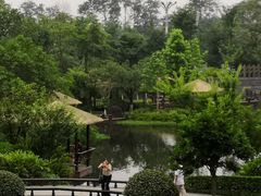 -成飞公园