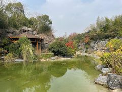 -上海吴淞炮台湾国家湿地公园