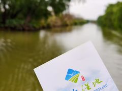 -大湾区中央湿地公园