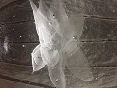 上海琉璃艺术博物馆-上海琉璃艺术博物馆