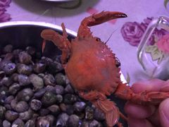 -青岛第三海水浴场