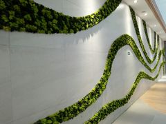 -兰岛广场(白沙路店)