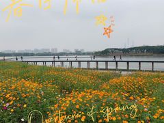 -海珠湖公园
