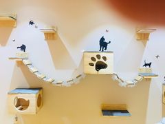 -Pets First伊珊娜洗护·精致美容·家庭式寄养(新会路店)