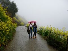 -石潭村