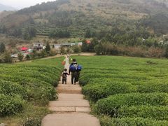 -东白山