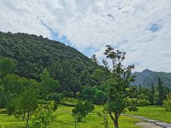 -长安文化生态公园