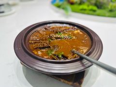 -丁老爷子苏香圆