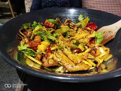 -食乐佳麻辣香锅(森林摩尔商业街区店)