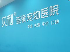 -贝利宠物医院·骨科·眼科·肿瘤转诊中心(南坪诊疗中心)