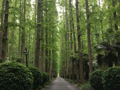 -上海怡沁园度假酒店