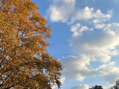 -共青国家森林公园-售票处