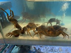 -喜庭海鲜自助(来福士店)